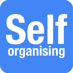 Self-organising